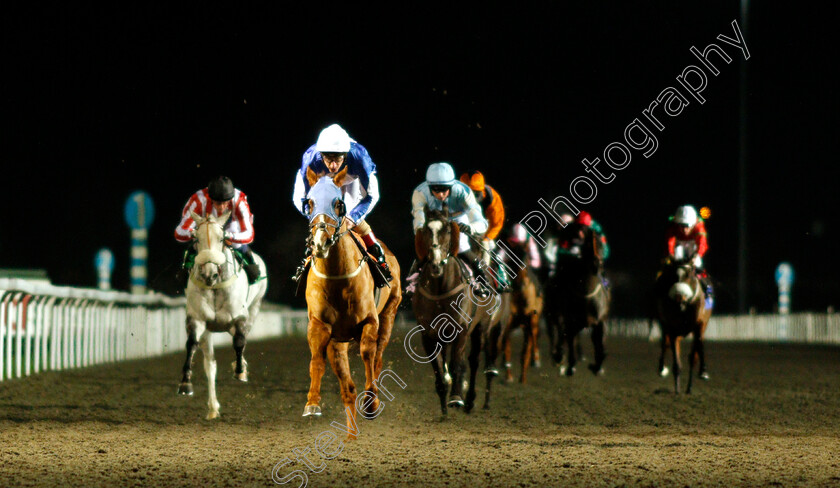 Rydan-0002 
 RYDAN (Adam Kirby) wins The 32red.com Handicap
Kempton 12 Dec 2018 - Pic Steven Cargill / Racingfotos.com