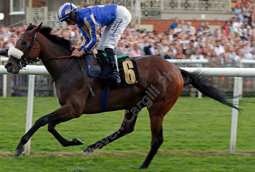 City-Of-Delight-0001 
 CITY OF DELIGHT (Rossa Ryan) wins The Maritime Cargo Services Container Gallop Handicap
Newmarket 9 Aug 2024 - Pic Steven Cargill / Racingfotos.com