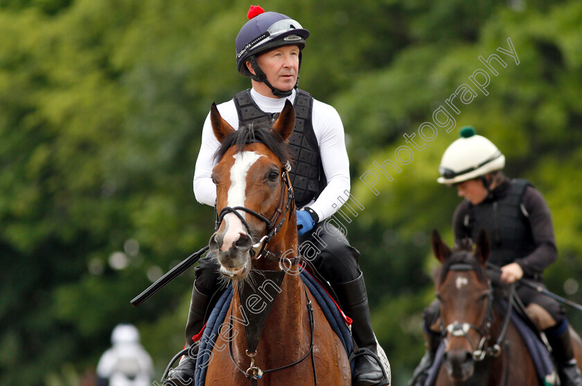 Call-To-Mind-0002 
 CALL TO MIND out on track at Belmont Park in preparation for The Belmont Gold Cup
Belmont Park USA 7 Jun 2018 - Pic Steven Cargill / Racingfotos.com