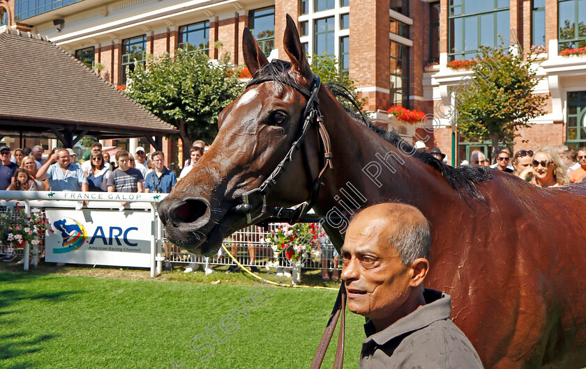 Highfield-Princess-0018 
 HIGHFIELD PRINCESS winner of The Prix Maurice de Gheest 
Deauville 7 Aug 2022 - Pic Steven Cargill / Racingfotos.com