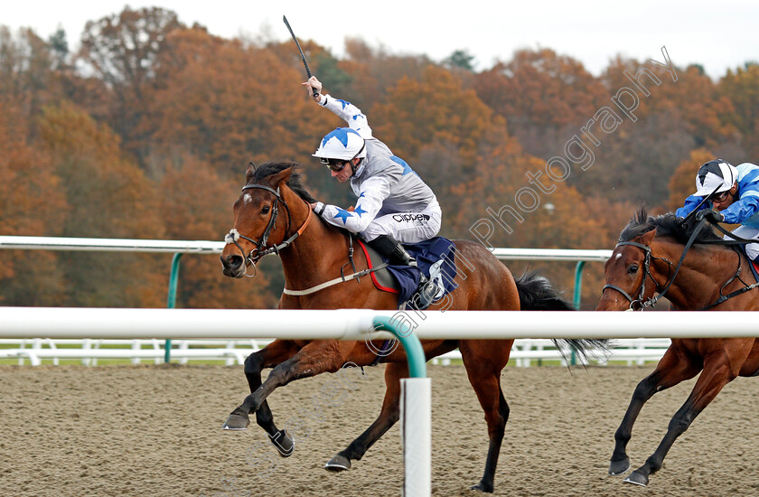 Fayez-0003 
 FAYEZ (Daniel Tudhope) wins The Betway Handicap Lingfield 21 Nov 2017 - Pic Steven Cargill / Racingfotos.com