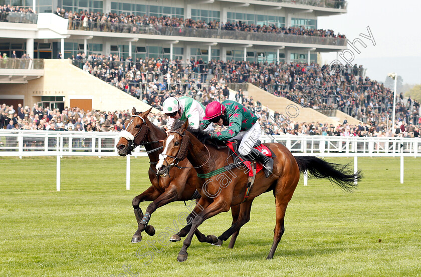 Mister-Whitaker-0001 
 MISTER WHITAKER (Jonathan Burke) wins The Cure Parkinson's And Hambo Foundation Silver Trophy Chase
Cheltenham 17 Apr 2019 - Pic Steven Cargill / Racingfotos.com