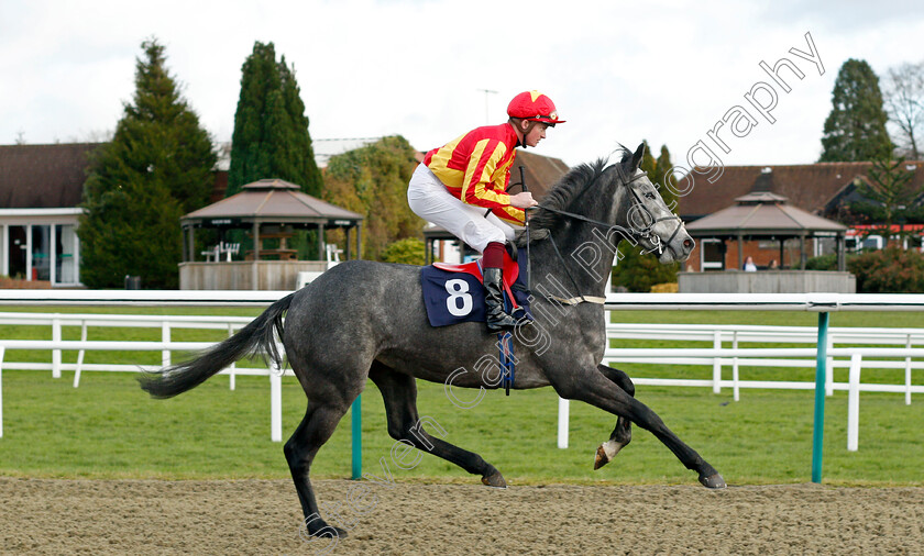 My-Name s-Howard 
 MY NAME'S HOWARD (Rob Hornby)
Lingfield 1 Dec 2021 - Pic Steven Cargill / Racingfotos.com