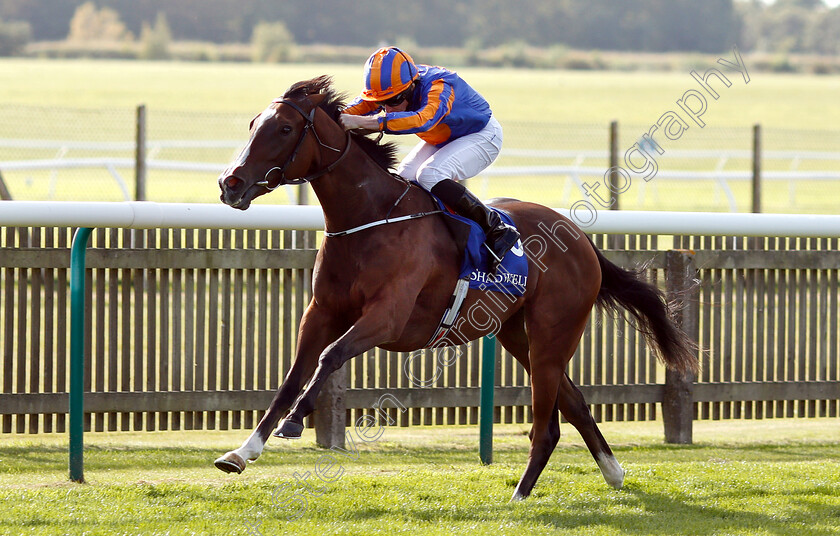 Just-Wonderful-0003 
 JUST WONDERFUL (Ryan Moore) wins The Shadwell Rockfel Stakes
Newmarket 28 Sep 2018 - Pic Steven Cargill / Racingfotos.com