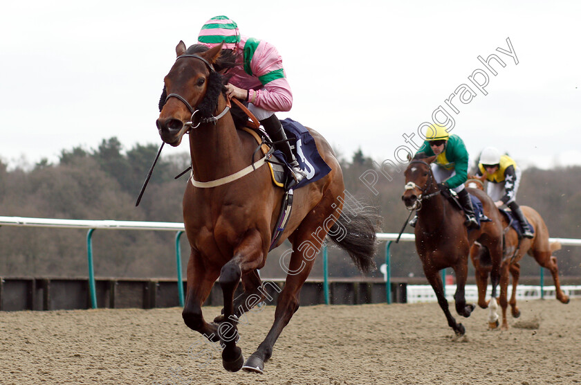 Sir-Ox-0004 
 SIR OX (Luke Morris) wins The Ladbrokes Home Of The Odds Boost Handicap
Lingfield 25 Jan 2019 - Pic Steven Cargill / Racingfotos.com