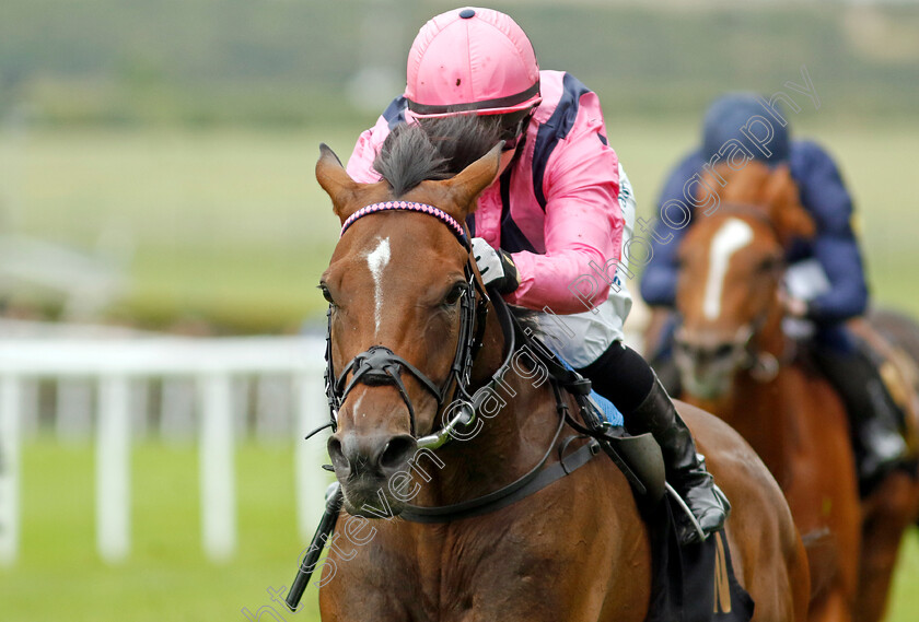 Sweet-Memories-0001 
 SWEET MEMORIES (Hollie Doyle) wins The British EBF 40th Anniversary Chalice Stakes
Newmarket 5 Aug 2023 - Pic Steven Cargill / Racingfotos.com