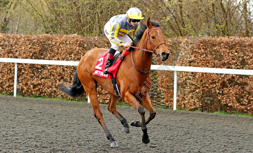 Hunaina-0001 
 HUNAINA (Alexis Badel) winner of The Betfred Home Of Goals Galore Snowdrop Fillies Stakes Kempton 7 Apr 2018 - Pic Steven Cargill / Racingfotos.com