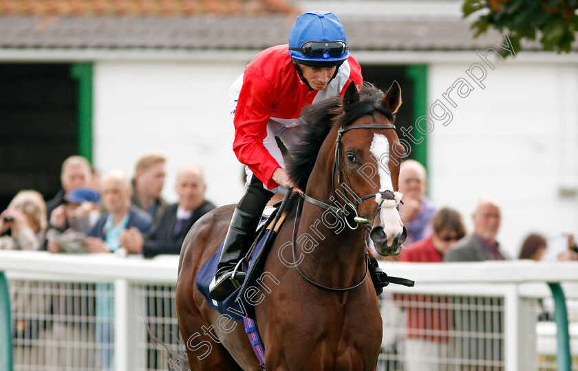 Regal-Reality-0001 
 REGAL REALITY (Ryan Moore) winner of The Hobgoblin Legendary Ruby Ale EBF Maiden Stakes Div2 Yarmouth 20 Sep 2017 - Pic Steven Cargill / Racingfotos.com