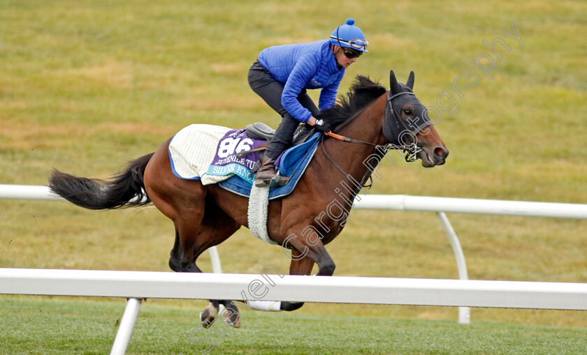 Silver-Knott-0002 
 SILVER KNOTT training for the Breeders' Cup Juvenile Turf 
Keeneland USA 2 Nov 2022 - Pic Steven Cargill / Racingfotos.com