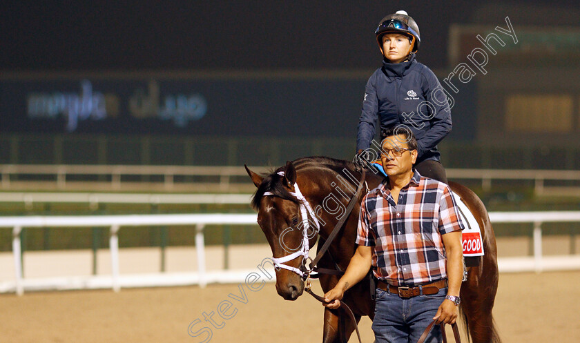 Life-Is-Good-0004 
 LIFE IS GOOD training for the Dubai World Cup
Meydan, Dubai, 22 Mar 2022 - Pic Steven Cargill / Racingfotos.com