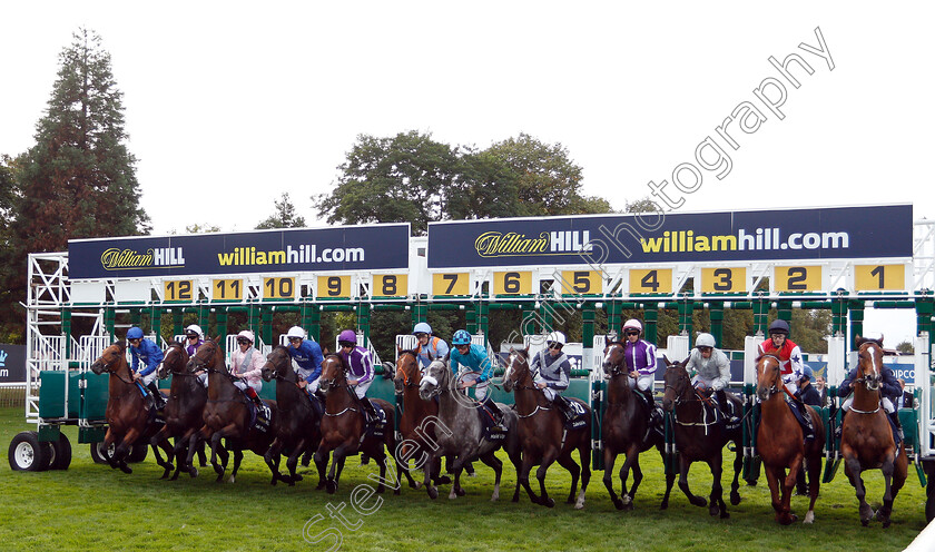 Kew-Gardens-0003 
 KEW GARDENS (purple cap, Ryan Moore) breaks from the stalls with the field for The William Hill St Leger
Doncaster 15 Sep 2018 - Pic Steven Cargill / Racingfotos.com