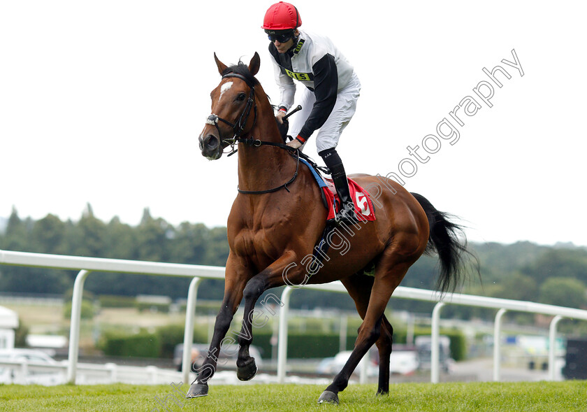 Marechal-Ney-0001 
 MARECHAL NEY (Robert Havlin)
Sandown 16 Jun 2018 - Pic Steven Cargill / Racingfotos.com