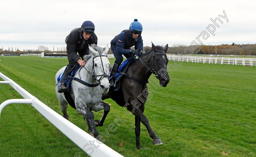 Sail-Away-and-Etalon-0002 
 SAIL AWAY (left, Derek O'Connor) with ETALON (right, Lorcan Williams) 
Coral Gold Cup Gallops Morning
Newbury 21 Nov 2023 - Pic Steven Cargill / Racingfotos.com