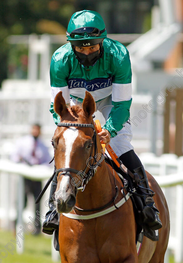 From-Little-Acorns-0001 
 FROM LITTLE ACORNS (Sean Levey)
Newbury 16 Jul 2021 - Pic Steven Cargill / Racingfotos.com