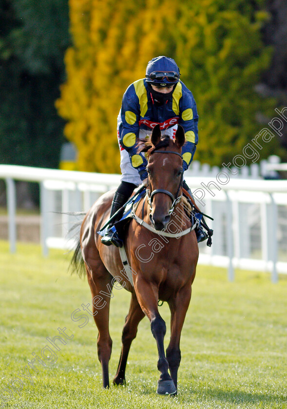 Far-From-A-Ruby-0001 
 FAR FROM A RUBY (Georgia Dobie)
Salisbury 11 Jul 2020 - Pic Steven Cargill / Racingfotos.com