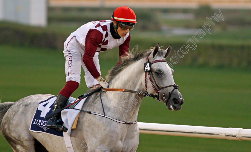 Rajeh-0003 
 RAJEH (Antonio Fresu) wins The Al Maktoum Challenge (Round 2) for Purebred Arabians
Meydan, 4 Feb 2022 - Pic Steven Cargill / Racingfotos.com