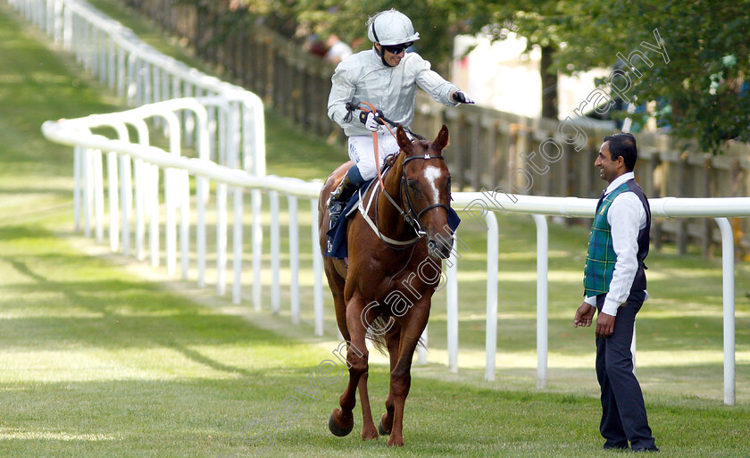 Communique-0008 
 COMMUNIQUE (Silvestre De Sousa) after The Princess Of Wales's Stakes
Newmarket 11 Jul 2019 - Pic Steven Cargill / Racingfotos.com