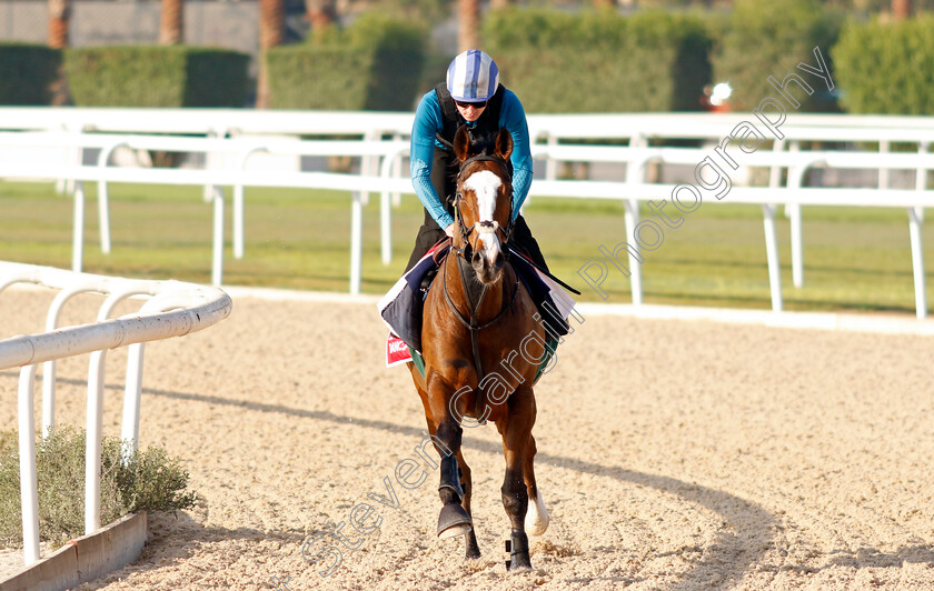 Spirit-Dancer-0005 
 SPIRIT DANCER training for the Bahrain International Trophy
Kingdom of Bahrain 13 Nov 2024 - Pic Steven Cargill / Racingfotos.com