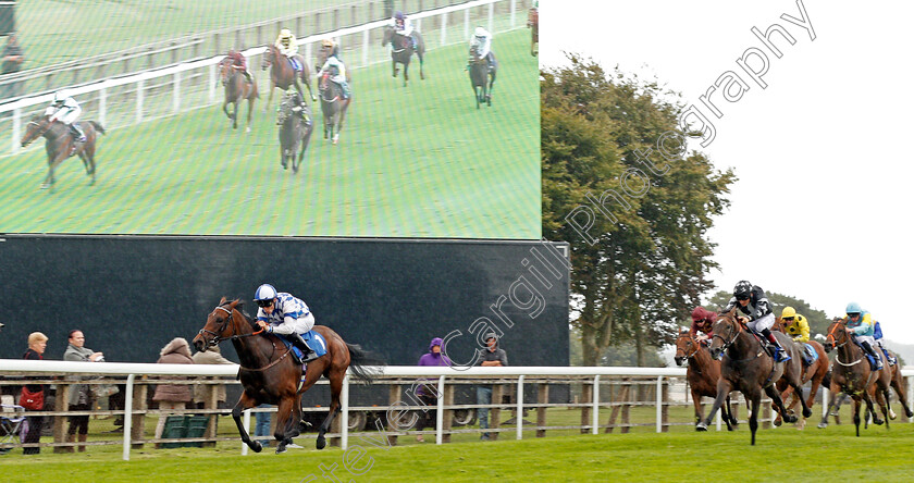 Clairette-0002 
 CLAIRETTE (Kieran Shoemark) wins The British EBF Quidhampton Maiden Fillies Stakes Div2 Salisbury 7 Sep 2017 - Pic Steven Cargill / Racingfotos.com