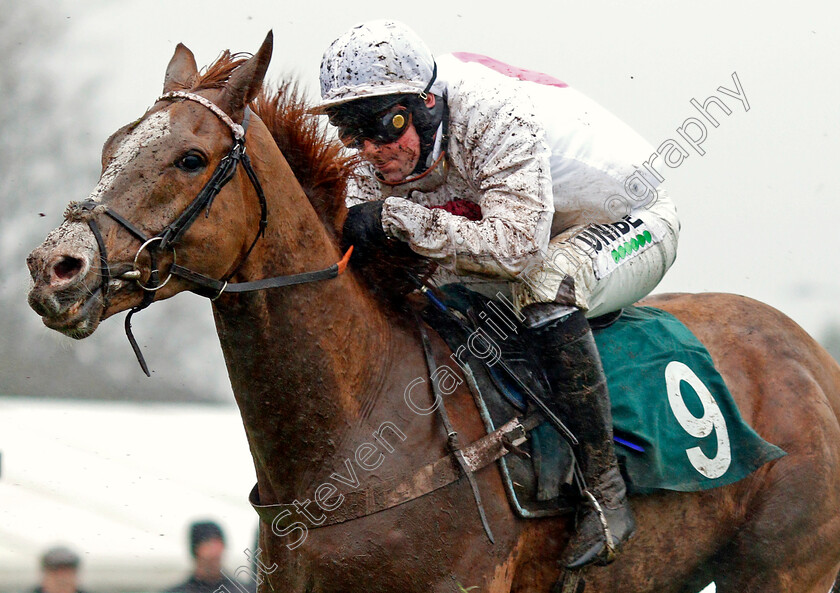 Palladium-0001 
 PALLADIUM (Nico De Boinville)
Warwick 12 Dec 2019 - Pic Steven Cargill / Racingfotos.com