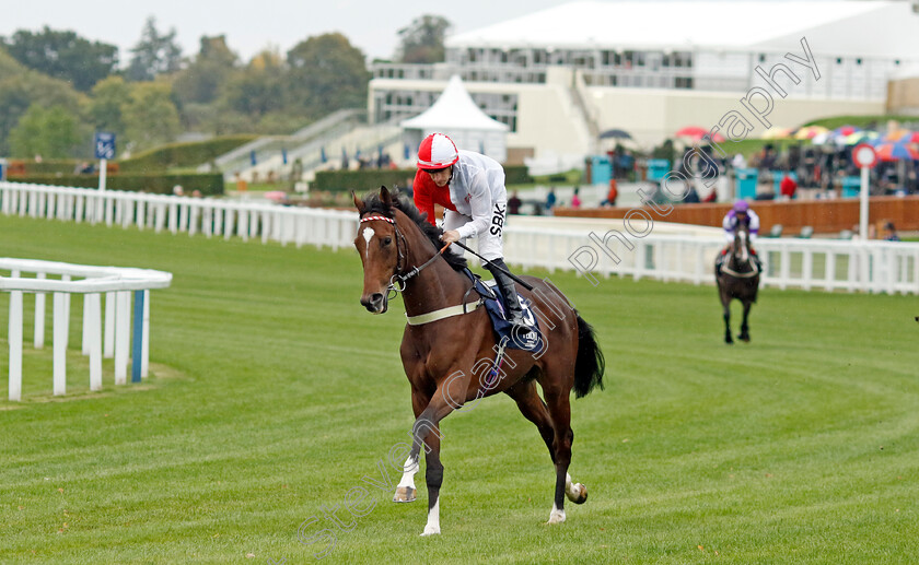 Riffa-Fort-0001 
 RIFFA FORT (Richard Kingscote)
Ascot 30 Sep 2022 - Pic Steven Cargill / Racingfotos.com