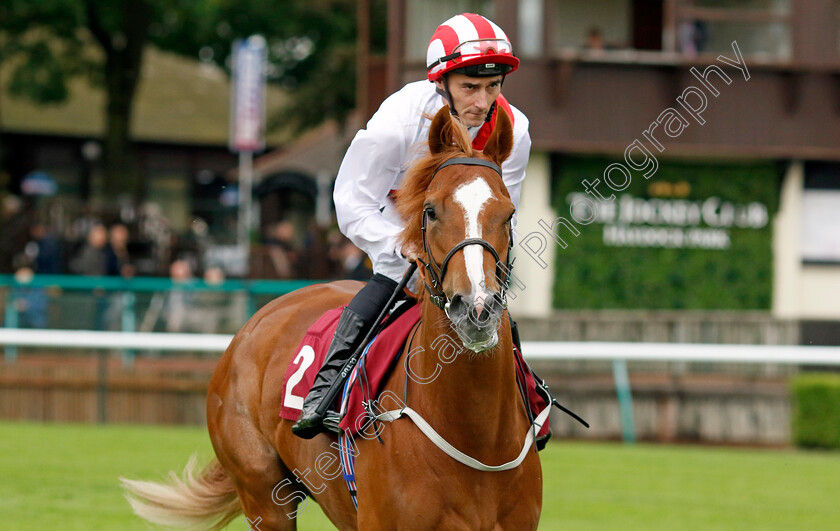 Electric-Storm-0007 
 ELECTRIC STORM (Daniel Tudhope) winner of The EBF British Stallion Studs Cecil Frail Stakes
Haydock 24 May 2024 - Pic Steven Cargill / Racingfotos.com