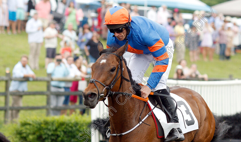 Stooshie-0004 
 STOOSHIE (Davy Russell) on his way to finishing 2nd in the Bright Hour Handicap Hurdle
Percy Warner Park, Nashville Tennessee USA 11 May 2019 - Pic Steven Cargill / Racingfotos.com