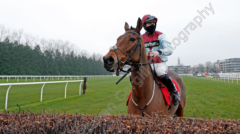 Ballyoptic-0001 
 BALLYOPTIC (Zac Baker)
Newbury 28 Nov 2020 - Pic Steven Cargill / Racingfotos.com