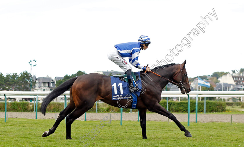 Big-Rock-0002 
 BIG ROCK (A Lemaitre)
Deauville 13 Aug 2023 - Pic Steven Cargill / Racingfotos.com