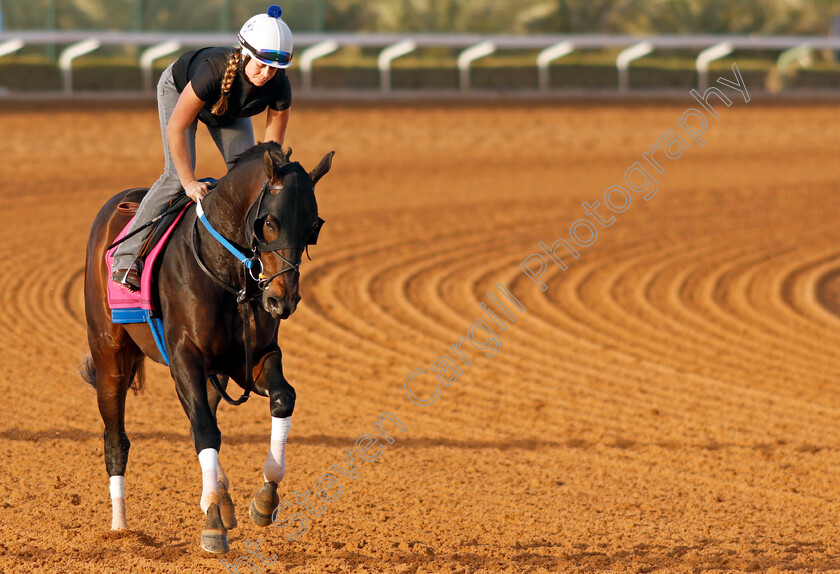 Gunite-0003 
 GUNITE training for The Riyadh Turf Sprint
King Abdulaziz Racecourse, Kingdom Of Saudi Arabia, 23 Feb 2023 - Pic Steven Cargill / Racingfotos.com