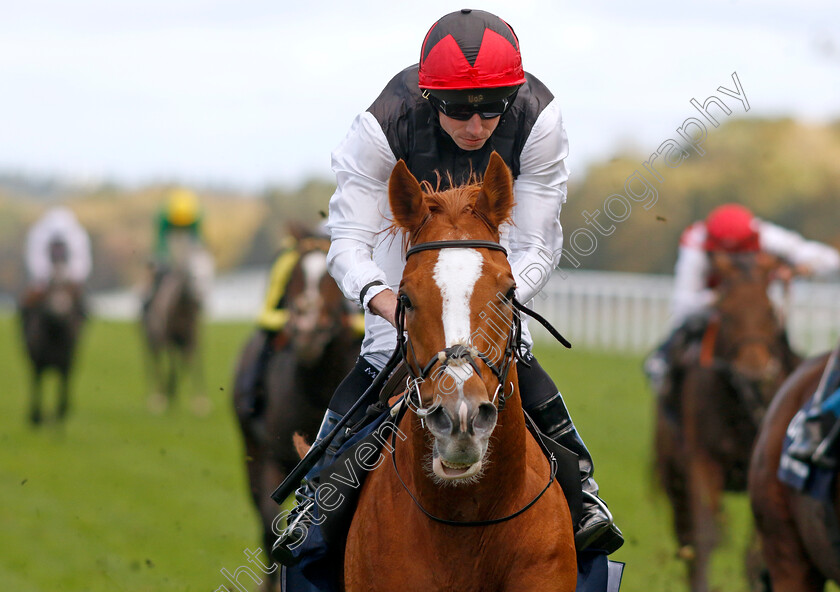 Kyprios-0001 
 KYPRIOS (Ryan Moore) wins The Qipco British Champions Long Distance Cup
Ascot 19 Oct 2024 - Pic Steven Cargill / Racingfotos.com