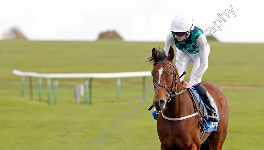 Midnight-Mile-0009 
 MIDNIGHT MILE (Oisin Orr) winner of The Godolphin Lifetime Care Oh So Sharp Stakes
Newmarket 7 Oct 2022 - Pic Steven Cargill / Racingfotos.com