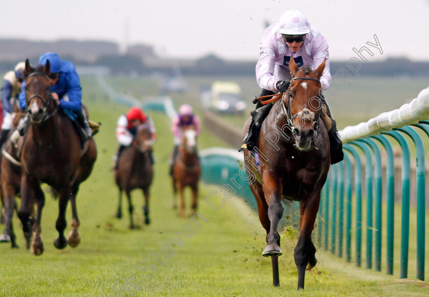 Anzac-Day-0002 
 ANZAC DAY (James Doyle) wins The Visit racingtv.com Maiden Stakes
Newmarket 25 Oct 2023 - Pic Steven Cargill / Racingfotos.com