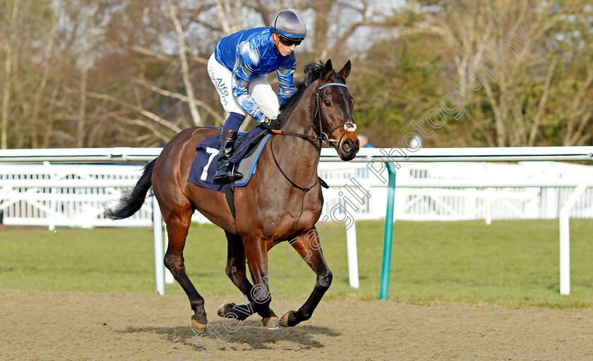 Obsidian-Knight-0001 
 OBSIDIAN KNIGHT (Jim Crowley) winner of The Betway Novice Stakes
Lingfield 5 Feb 2022 - Pic Steven Cargill / Racingfotos.com