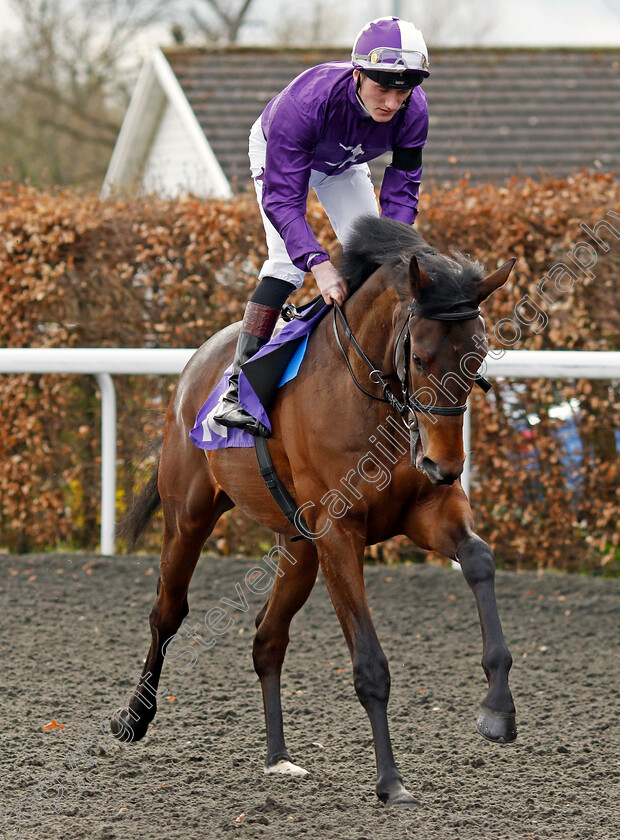 Toronto-Raptor-0001 
 TORONTO RAPTOR (David Egan)
Kempton 3 Apr 2024 - Pic Steven Cargill / Racingfotos.com