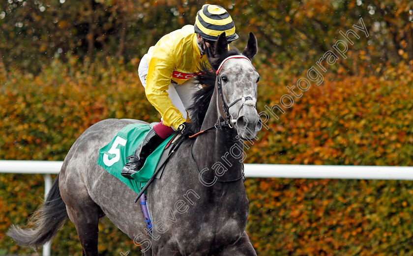 Perfect-Inch-0001 
 PERFECT INCH (Oisin Murphy) winner of The Unibet Breeders Backing Racing EBF Fillies Novice Stakes
Kempton 2 Nov 2020 - Pic Steven Cargill / Racingfotos.com