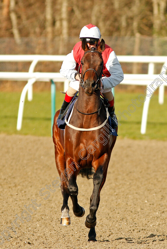 The-Weed-Machine-0001 
 THE WEED MACHINE (Franny Norton) 
Lingfield 9 Dec 2019 - Pic Steven Cargill / Racingfotos.com