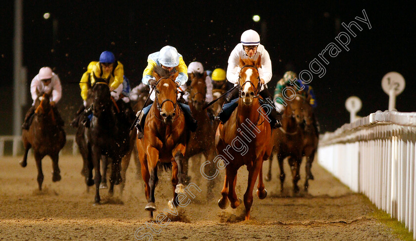 Tauteke-0003 
 TAUTEKE (left, Jim Crowley) beats SO HIGH (right) in The Irish Lotto At totesport.com British EBF Novice Stakes
Chelmsford 29 Nov 2018 - Pic Steven Cargill / Racingfotos.com