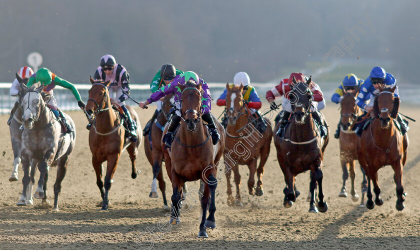 All-The-King s-Men-0004 
 ALL THE KING'S MEN (Ryan Moore) wins The Spreadex Sports Get £40 In Bonuses Handicap
Lingfield 21 Jan 2023 - Pic Steven Cargill / Racingfotos.com