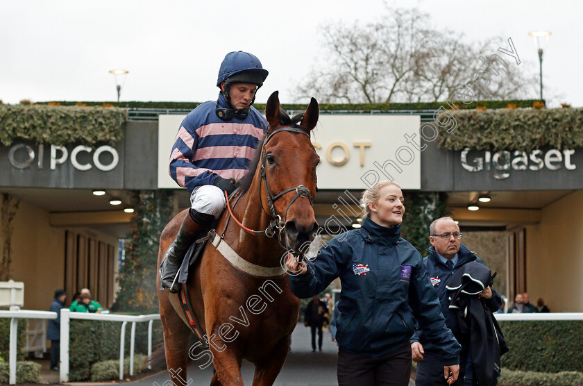 Benatar-0007 
 BENATAR (Jamie Moore) after The Mitie Noel Novices Chase Ascot 22 Dec 2017 - Pic Steven Cargill / Racingfotos.com