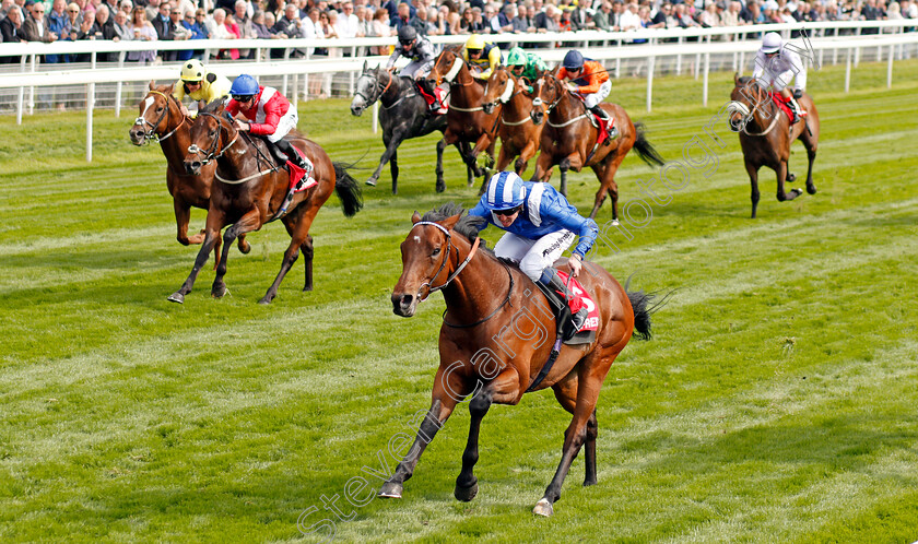 Afaak-0003 
 AFAAK (Jim Crowley) wins The Betfred TV Hambleton Handicap York 17 May 2018 - Pic Steven Cargill / Racingfotos.com