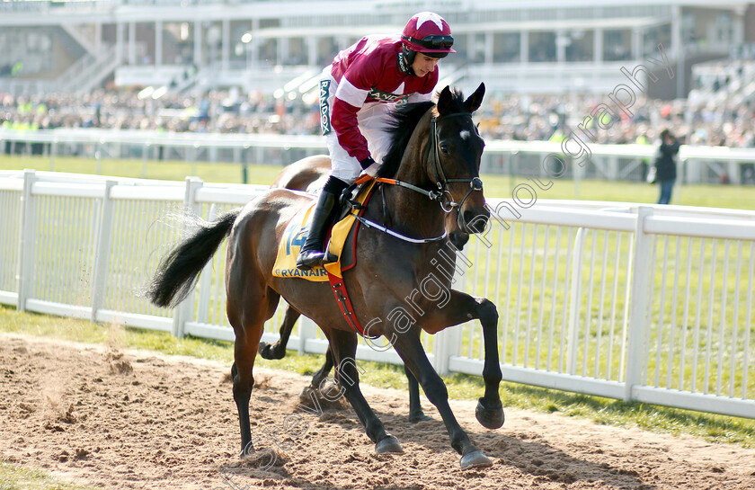 Apple s-Jade-0001 
 APPLE'S JADE (Jack Kennedy)
Aintree 6 Apr 2019 - Pic Steven Cargill / Racingfotos.com