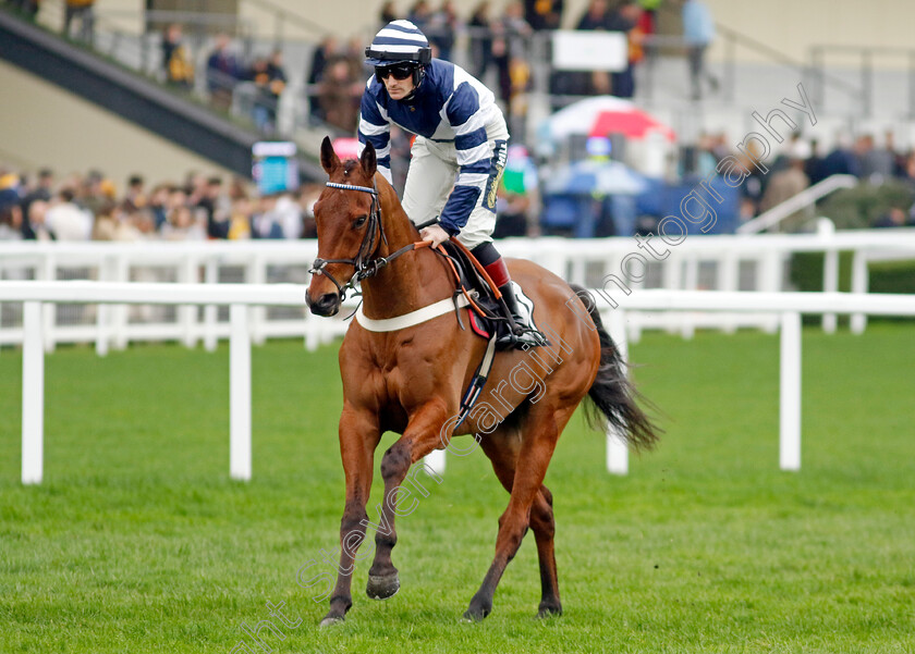 Vincenzo-0001 
 VINCENZO (Sam Twiston-Davies)
Ascot 17 Feb 2024 - Pic Steven Cargill / Racingfotos.com