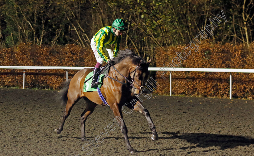 Jolly-Roger-0004 
 JOLLY ROGER (Oisin Murphy) winner of The Unibet British Stallion Studs EBF Novice Stakes Div2
Kempton 11 Dec 2024 - Pic Steven Cargill / Racingfotos.com