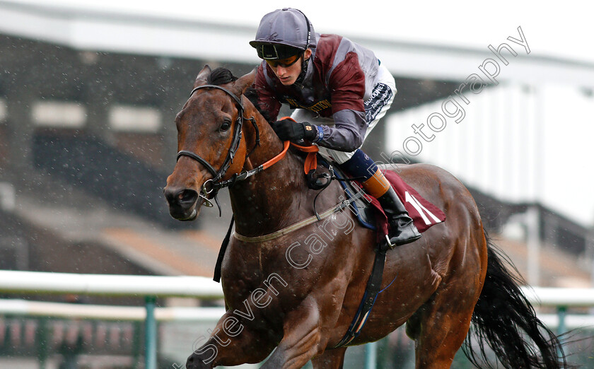 Beyond-Equal-0005 
 BEYOND EQUAL (David Egan) wins The 188bet Mobile Bet10 Get20 Handicap
Haydock 25 May 2018 - Pic Steven Cargill / Racingfotos.com