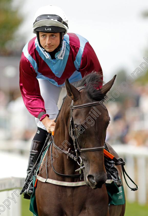 Graduated-0001 
 GRADUATED (Gina Mangan)
York 22 Aug 2024 - pic Steven Cargill / Racingfotos.com