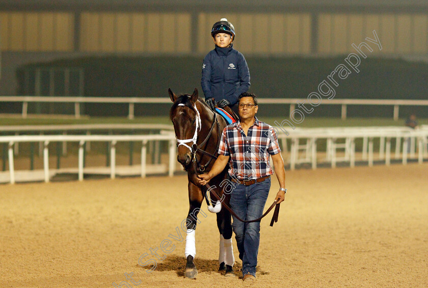 Life-Is-Good-0001 
 LIFE IS GOOD training for the Dubai World Cup
Meydan, Dubai, 22 Mar 2022 - Pic Steven Cargill / Racingfotos.com