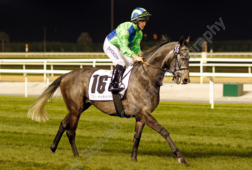 Mata-Utu-0001 
 MATA UTU (Sam Hitchcott) Meydan 18 Jan 2018 - Pic Steven Cargill / Racingfotos.com