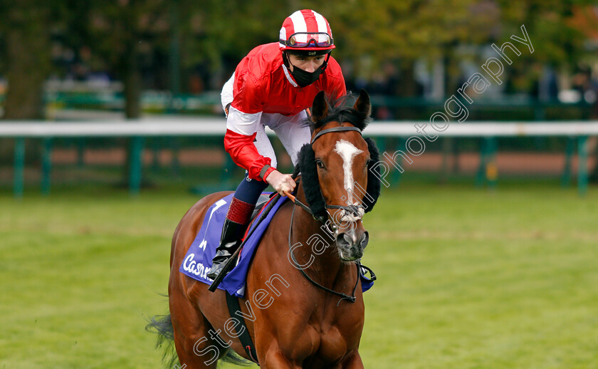 Dark-Lion-0001 
 DARK LION (David Egan)
Haydock 22 May 2021 - Pic Steven Cargill / Racingfotos.com