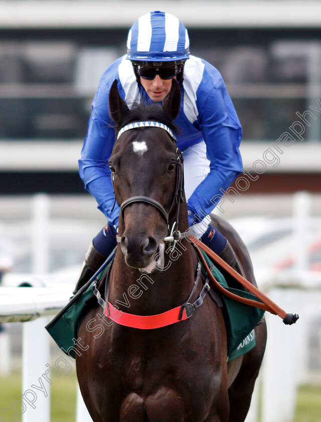 Mohaather-0002 
 MOHAATHER (Jim Crowley) winner of The Watership Down Stud Greenham Stakes
Newbury 13 Apr 2019 - Pic Steven Cargill / Racingfotos.com